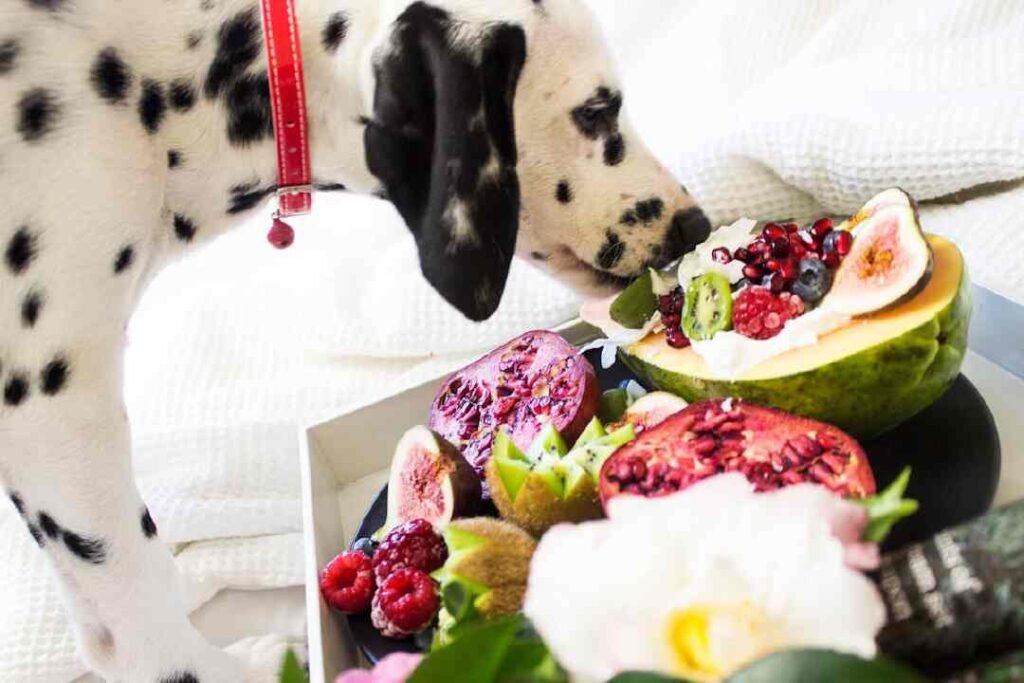 7 Foods All Dogs Should Avoid for Their Health and Safety
